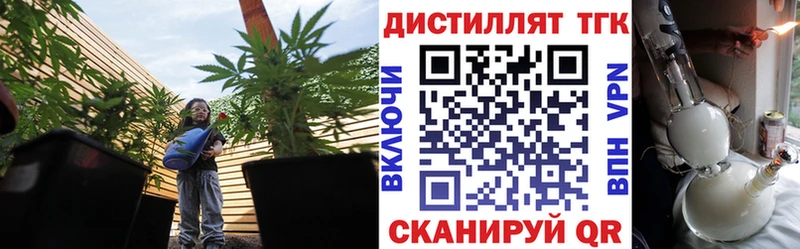 Дистиллят ТГК THC oil  купить наркотик  Грязовец 