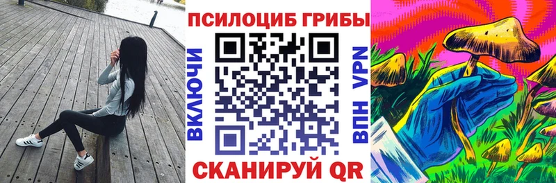 Галлюциногенные грибы Psilocybe  ссылка на мегу онион  Грязовец 